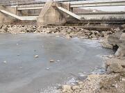 14 febbraio 2012 Gorizia-Ponte IX agosto  04