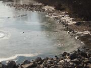 14 febbraio 2012 Piedimonte-Gorizia  05