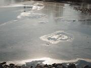 14 febbraio 2012 Piedimonte-Gorizia  06