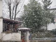 11-02-2013  ore 08-47   Loc. Gorizia 02