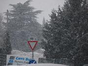 11-02-2013  ore 08-47   Loc. Gorizia 04