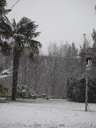 11-02-2013  ore 08-57   Loc. Gorizia 06