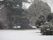 11-02-2013  ore 08-58   Loc. Gorizia 07