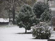 11-02-2013  ore 09-00   Loc. Gorizia 08