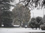 11-02-2013  ore 09-01   Loc. Gorizia 09