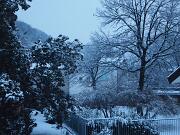 12-02-2013  ore 07-22   Loc. Piedimonte-Gorizia  08