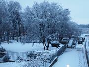 12-02-2013  ore 07-24   Loc. Piedimonte-Gorizia  11