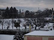 12-02-2013  ore 08-49   Loc. Gorizia  04