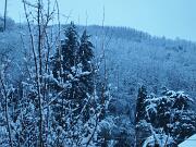 14-01-2013  ore 07-50   Loc.  Piedimonte-Gorizia 02