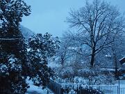 14-01-2013  ore 07-50   Loc.  Piedimonte-Gorizia 04