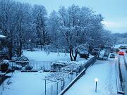 14-01-2013  ore 07-50   Loc.  Piedimonte-Gorizia 05