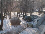 23-02-2013  ore 08-14   Loc.  Piedimonte-Gorizia 02