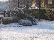 23-02-2013  ore 08-20   Loc.  Piedimonte-Gorizia 04