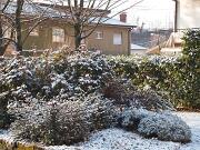 23-02-2013  ore 08-21   Loc.  Piedimonte-Gorizia 05