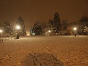 07-12-2012  ore 23-32   Loc.  Gorizia-(Rimembranza)  02