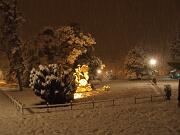 07-12-2012  ore 23-34   Loc.  Gorizia-(Rimembranza)  05