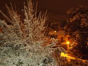 08-12-2012  ore 02-54   Loc.  Piedimonte-Gorizia 13