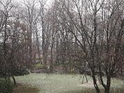 27-12-2014  ore 14-48   Loc.  Piedimonte-Gorizia 01