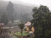 27-12-2014  ore 14-50   Loc.  Piedimonte-Gorizia 02   Solo un velo di neve al suolo nel primo pomeriggio del giorno 27 dicembre inferiore però ad un centimetro