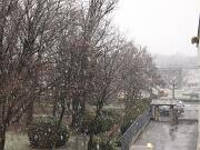 27-12-2014  ore 15-07   Loc.  Piedimonte-Gorizia 04