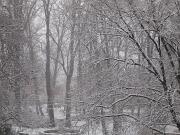 04-01-2016  ore 07-45   Loc.  Piedimonte-Gorizia 01