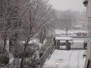 04-01-2016  ore 07-45   Loc.  Piedimonte-Gorizia 02