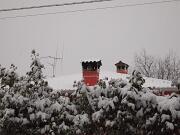 04-01-2016  ore 09-30   Via Aquileia - Gorizia 01