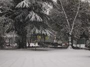 04-01-2016  ore 09-30   Via Aquileia - Gorizia 06