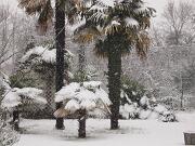 04-01-2016  ore 09-30   Via Aquileia - Gorizia 10