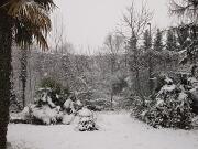 04-01-2016  ore 09-30   Via Aquileia - Gorizia 13