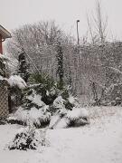 04-01-2016  ore 09-30   Via Aquileia - Gorizia 16