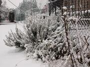 04-01-2016  ore 09-30   Via Aquileia - Gorizia 17