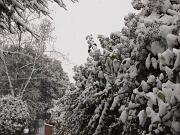 04-01-2016  ore 09-30   Via Aquileia - Gorizia 18