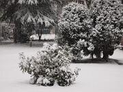 04-01-2016  ore 09-30   Via Aquileia - Gorizia 19