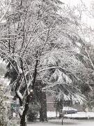 04-01-2016  ore 11-30   Gorizia 02