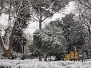 04-01-2016  ore 11-30   Gorizia 03