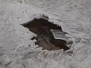 2017-01-09 ghiaccio torrente groinizza