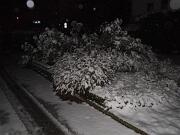 2017-12-10  ore 20-45   Loc. Piedimonte-Gorizia04