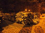 2017-12-10  ore 20-45  Loc. Piedimonte-Gorizia05