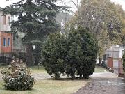 2018-03-01  ore 12-15  Gorizia - Via Aquileia 03