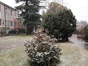 2018-03-01  ore 12-15  Gorizia - Via Aquileia 07