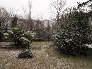 2018-03-01  ore 12-15  Gorizia - Via Aquileia 08