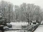 2019-01-23  ore  13 Loc. Piedimonte-Gorizia04