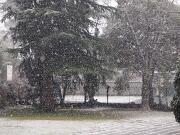 2019-01-23  ore 12  Gorizia  Via Aquileia004