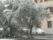 2019-01-23  ore 12  Gorizia  Via Aquileia006