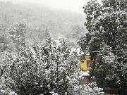 2019-01-23  ore 12-45  Loc. Piedimonte-Gorizia003