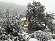 2019-01-23  ore 12-45  Loc. Piedimonte-Gorizia004