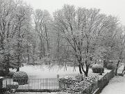 2019-01-23  ore 12-45  Loc. Piedimonte-Gorizia005