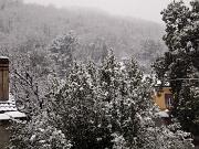 2019-01-23  ore 13  Loc. Piedimonte-Gorizia07