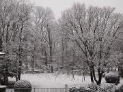 2019-01-23  ore 13  Loc. Piedimonte-Gorizia08